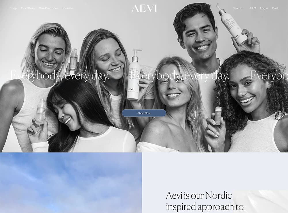 Aevi Website